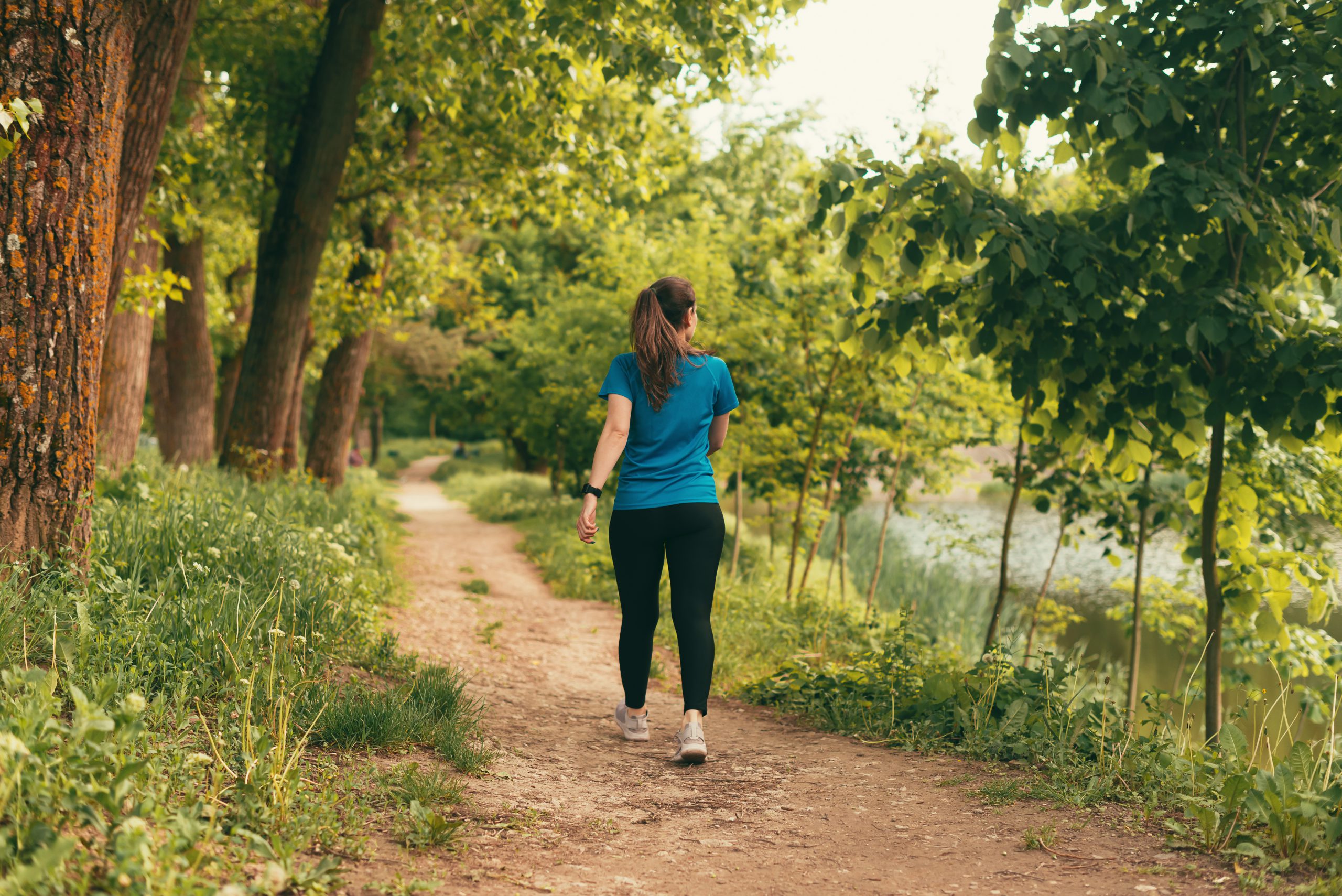 Marche en forêt