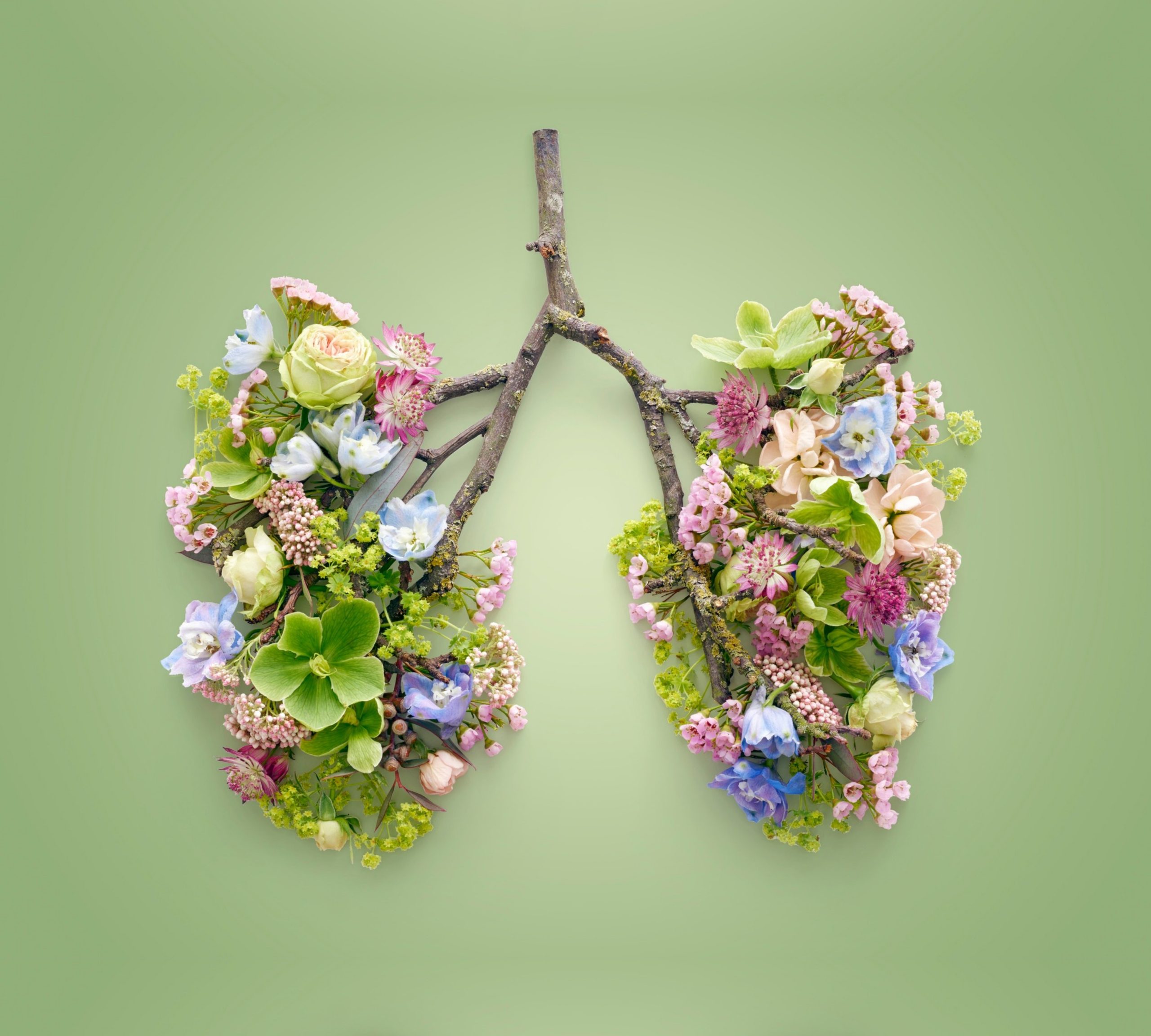 Poumons fleur