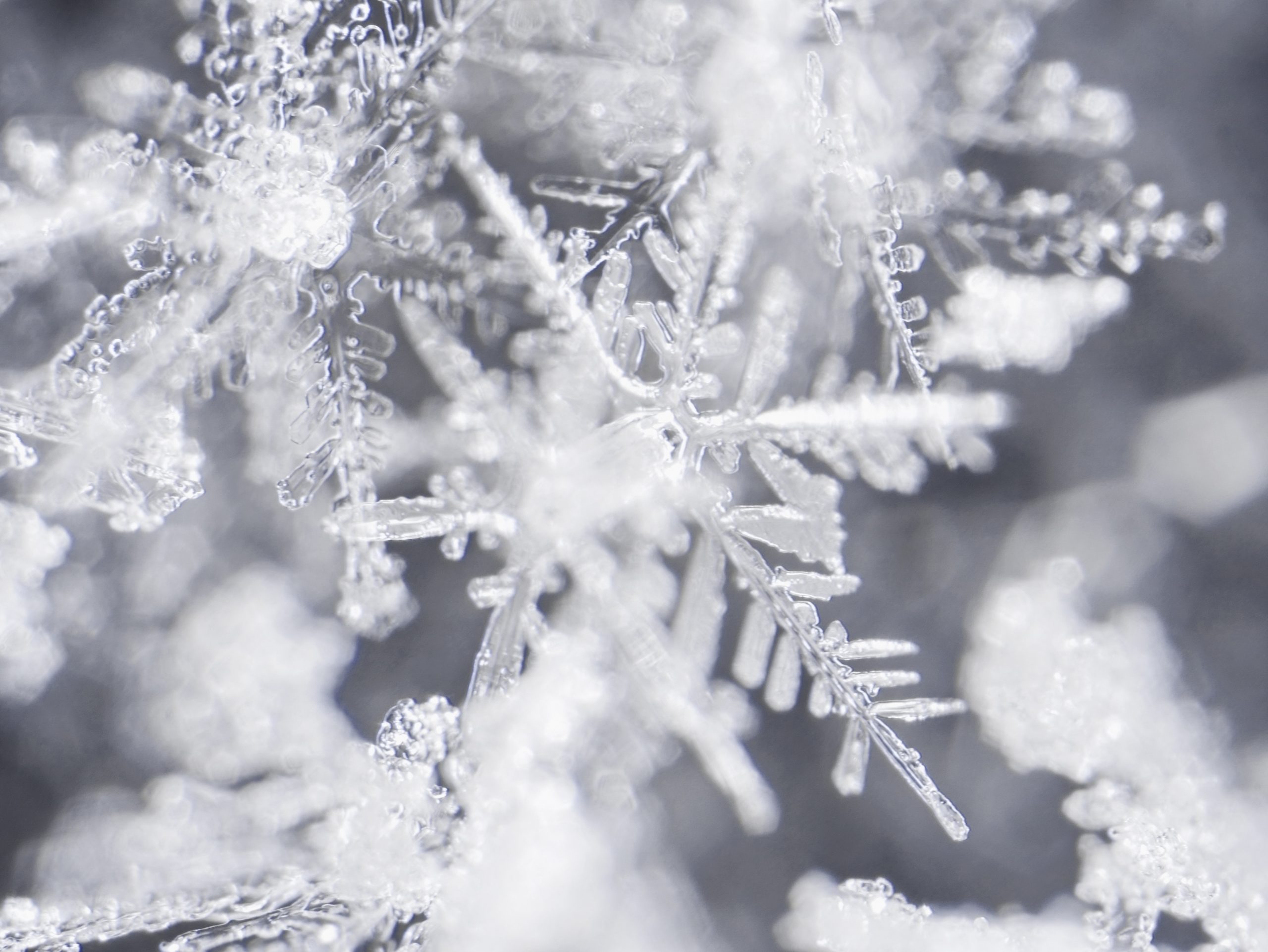 flocons neige – Au Coeur du Souffle