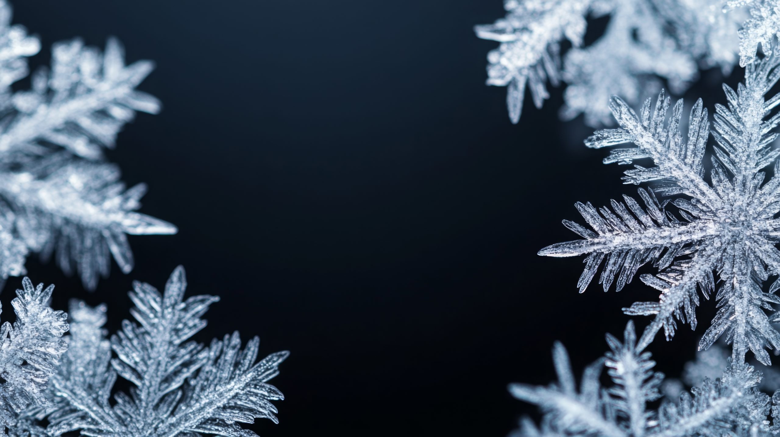 Flocons de neige – Au Coeur du Souffle